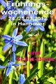 Fruehling2012   001